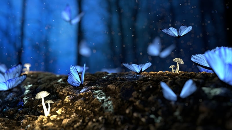 Enchanted forests