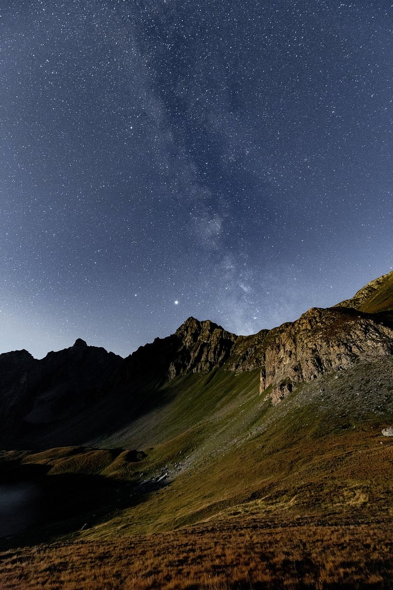 Starlit Sky